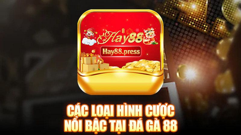 Các loại hình cược nổi bậc tại Đá Gà 88